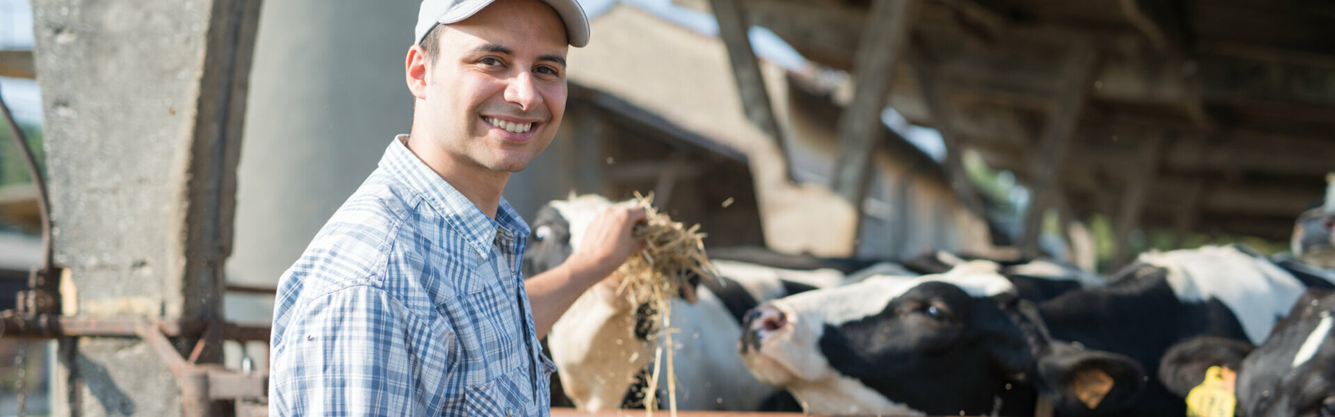 Notre accompagnement au service des agriculteurs